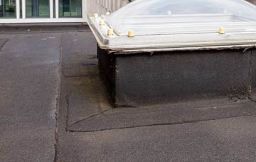 disadvantages of Dunfield flat roofs