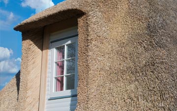 Dunfield thatch roof disadvantages